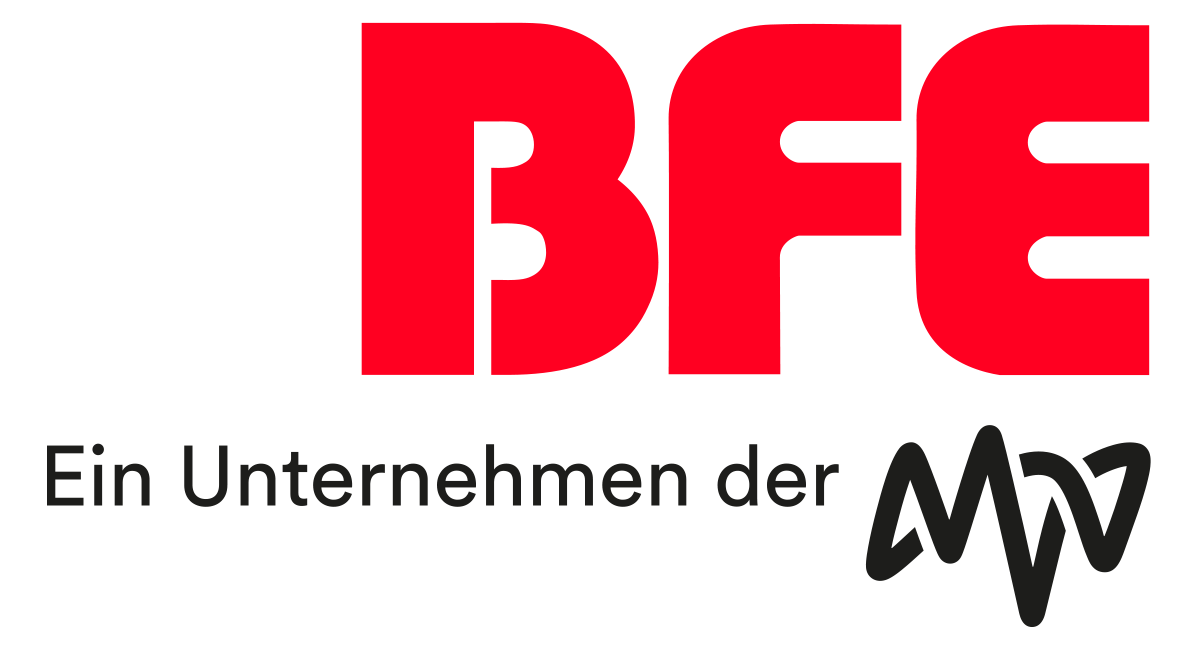 BFE Institut für Energie und Umwelt GmbH